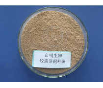 產(chǎn)品庫(kù) 企業(yè)數(shù)字資產(chǎn)管理的核心樞紐